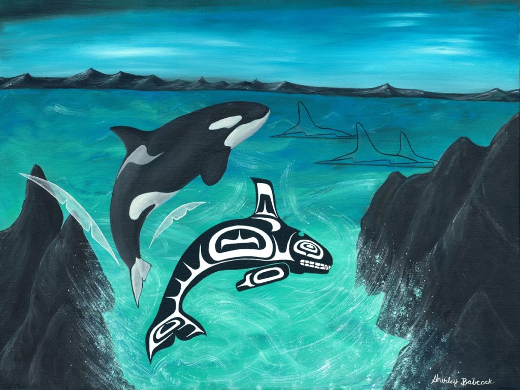 Our home, Our waters.  Orca Travels